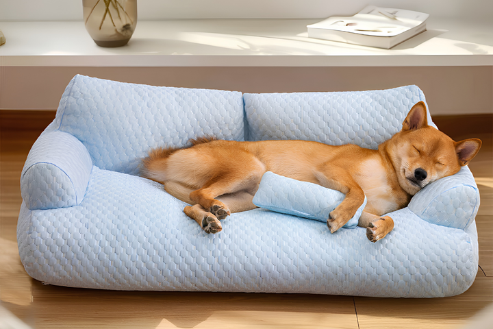 Creating Cozy Rest Spaces With Pet Beds