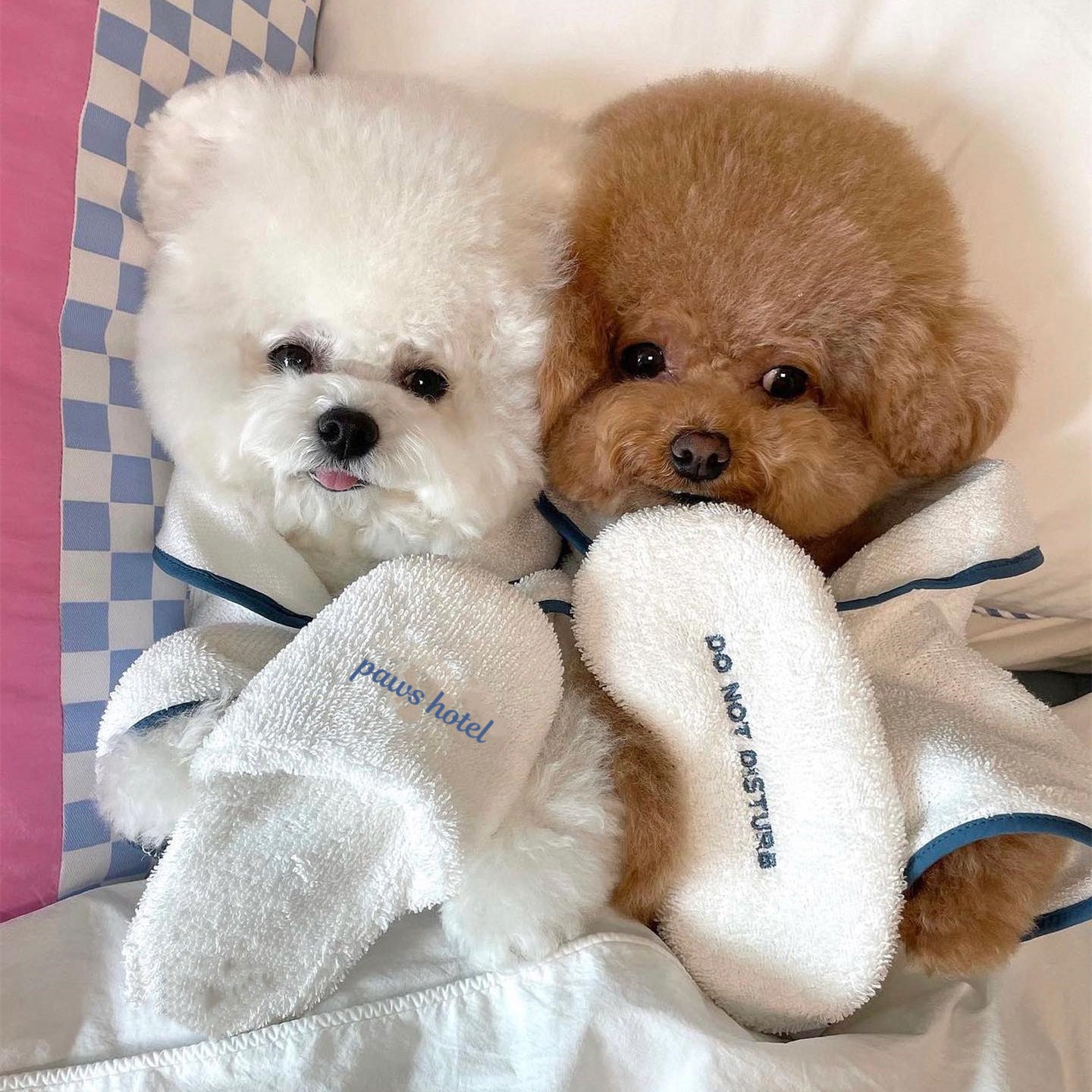Transform Your Pet's Bath Time with Our Absorbent Towel Pajamas